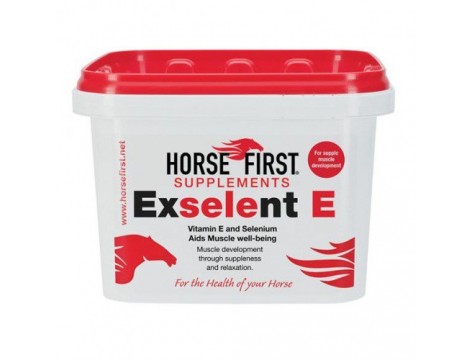 Horse First Exselent E