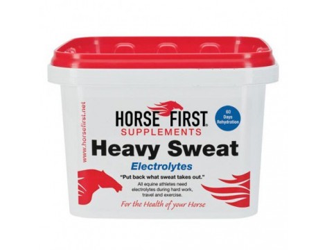 Horse First Heavy Sweat