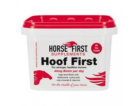 Horse First Hoof First