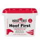 Horse First Hoof First