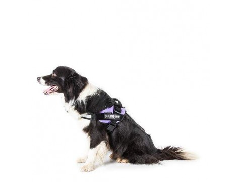 Julius K9 IDC® Powerharness size 0