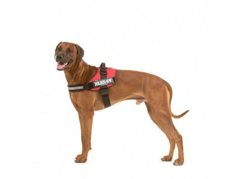 Julius K9 IDC® Powerharness size 1