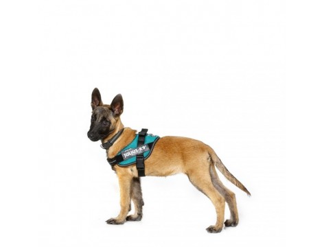 Julius K9 IDC® Powerharness size Mini-Mini 