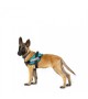 Julius K9 IDC® Powerharness size Mini-Mini 